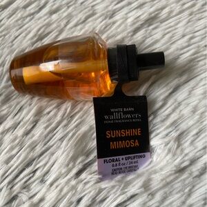 Sunshine Mimosa Wallflower